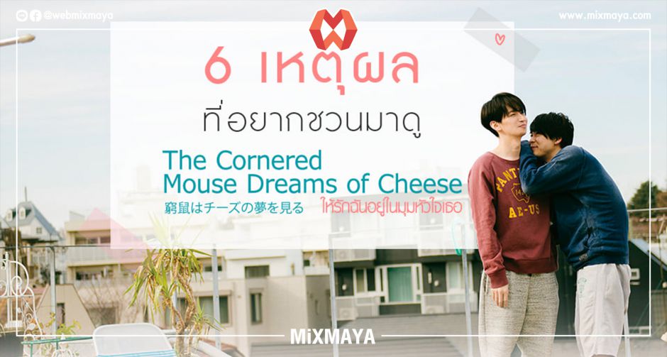 6 เหตุผลที่อยากชวนมาดู "The Cornered Mouse Dreams of Cheese ให้รักฉันอยู่ในมุมหัวใจเธอ"