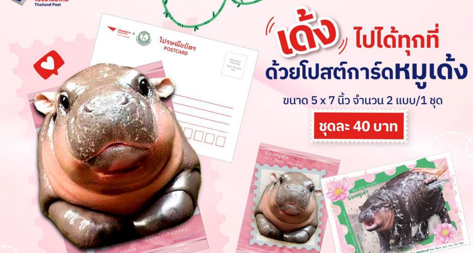 ไปรษณีย์ไทยเอาใจแฟนคลับ น้องหมูเด้ง เปิดตัว iStamp และโปสต์การ์ดซุปตาร์แห่งสวนสัตว์เขาเขียว